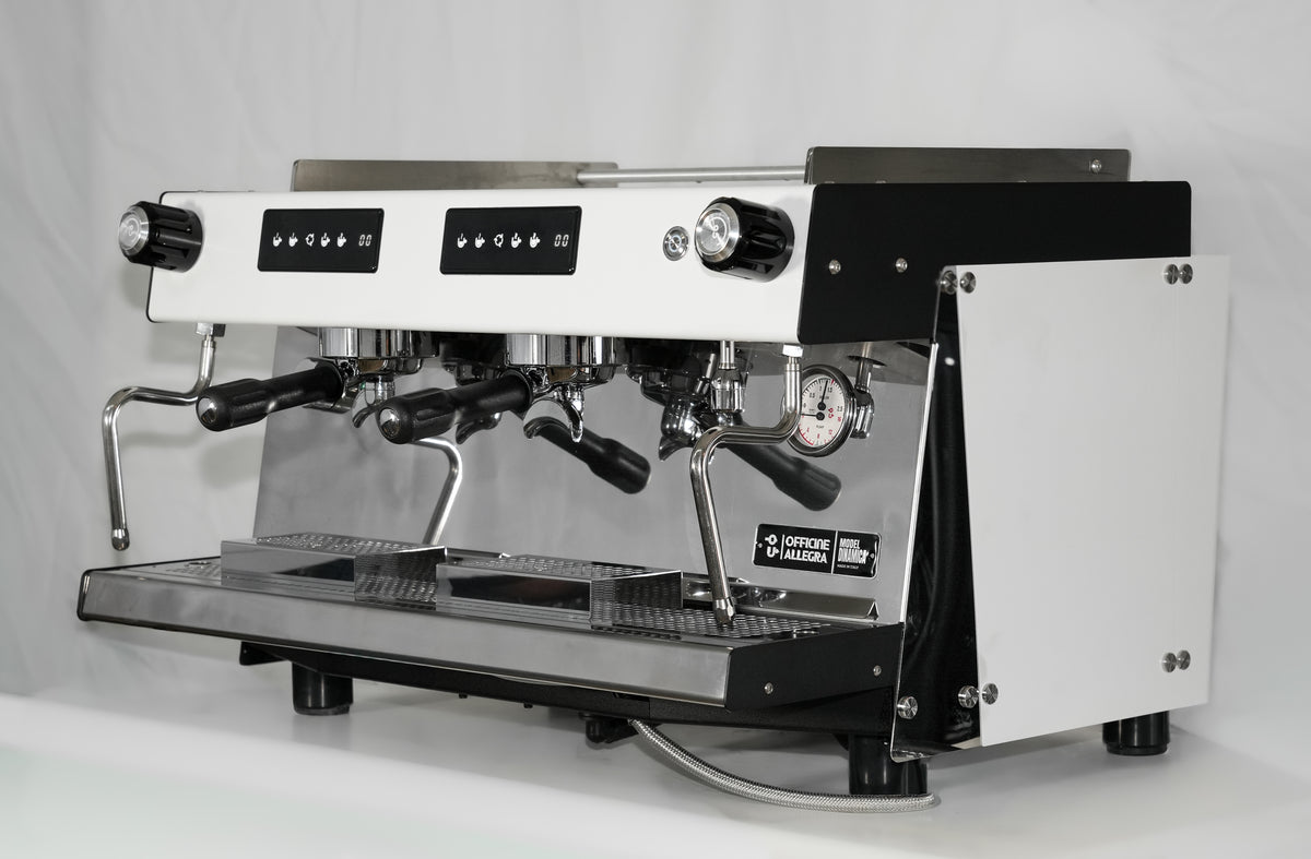 CAFETERA INDUSTRIAL PROFESIONAL ITALIANA DINAMICA 2 GRUPOS  SEMIAUTOMÁTICA 220V